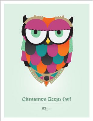 cinnamon scops owl