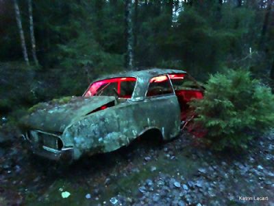 The forgotten gangster car in the forest