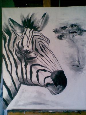 Zebra p sletten.